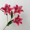 5PCS Artificial Lily Flower Branch Realistic Looking 3D Printed 3 Heads Lily Plant for Wedding Floral Decoration