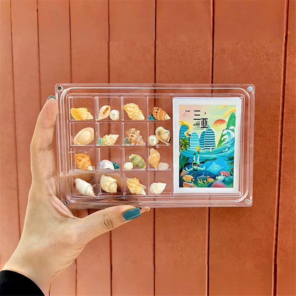 17-Grid Seashell Display Box Acrylic Durable Storage Display Organizer Box With Photo Frame Starfishs Trinket Storage Case