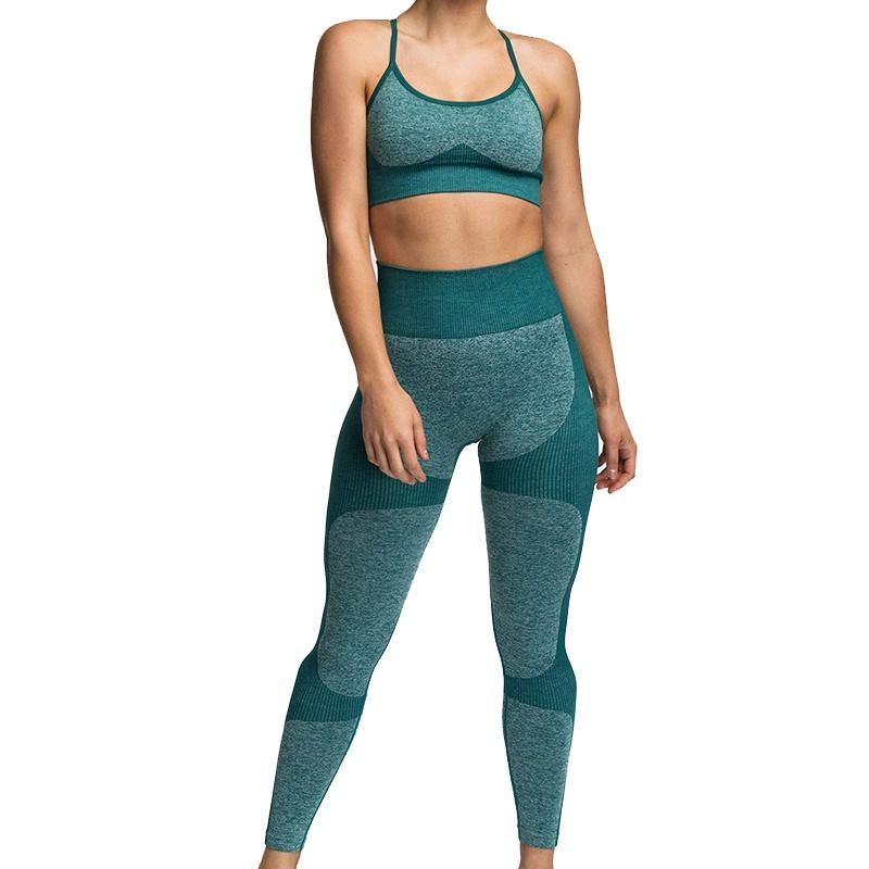 Sleek Women Sleeveless Yoga Set With Padded Bra And High Waisted Elastic Leggings