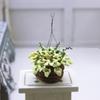 Realistic Hanging Potted Plant Miniature Planter For 1/12 Doll House Scene Setting Plant Pot Living Room Decoration