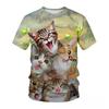 Summer Round Neck 3D Cute Cat Print Top Fashionable Casual Short Sleeved Men's T-shirts