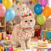 Cats Birthday Headgear Hat for Pet Holiday Decorations Dotted Party Hat Puppy Collar Dog Headgear Photo Props