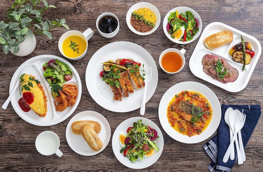 Rebirth Basic Series Plate 16cm Set of 4 Made In Japan Plastic Light Plate White Dishwasher Safe Microwave Safe (White)