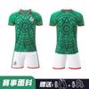 Kids Adult Football Jersey Set - Portugal National Team Home Away 10 7 Soccer Uniforms Training Match