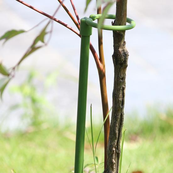 Pot Stand Shape Plant Anti-rust Durable Anti-deformed Long-lasting Wide Applications Reusable Plant Climbing Sturdy Plant Support Stakes for Amaryllis