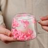 Double Insulated Dried Flower Glass Cup Coffee Tea Cup Clear Glass Cup Double Wall Mug  Household