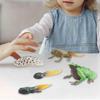 Life Cycle of Frog Toys Montessori Teaching Tools Animal Figurines Toy Biology Model
