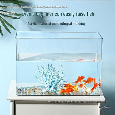 Acrylic High-Definition Fish and Turtle Tank for Living Room 
