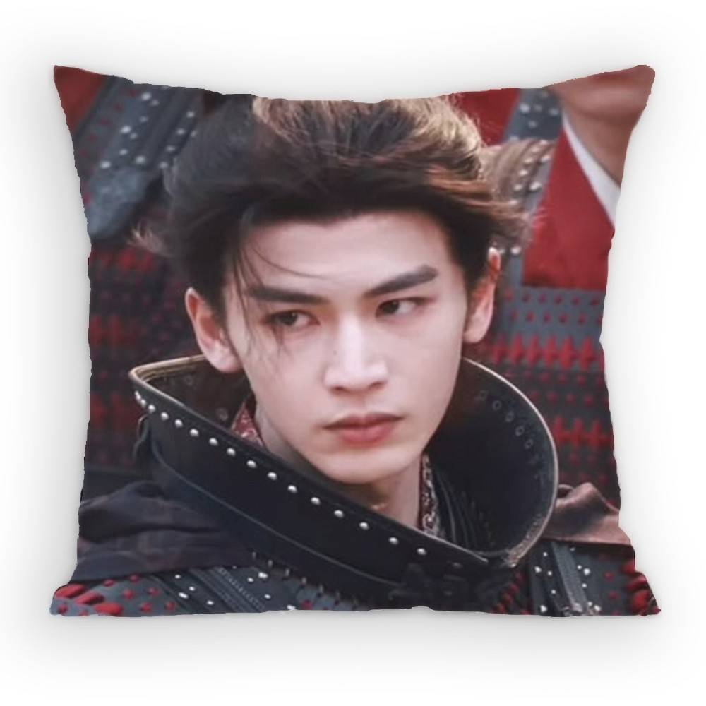 Zhang Linghe Pursuit of Jade Pillow Case Antidustmite Pillowcase Invisible Zipper Silky Sofa Cushion Cover for Bedroom