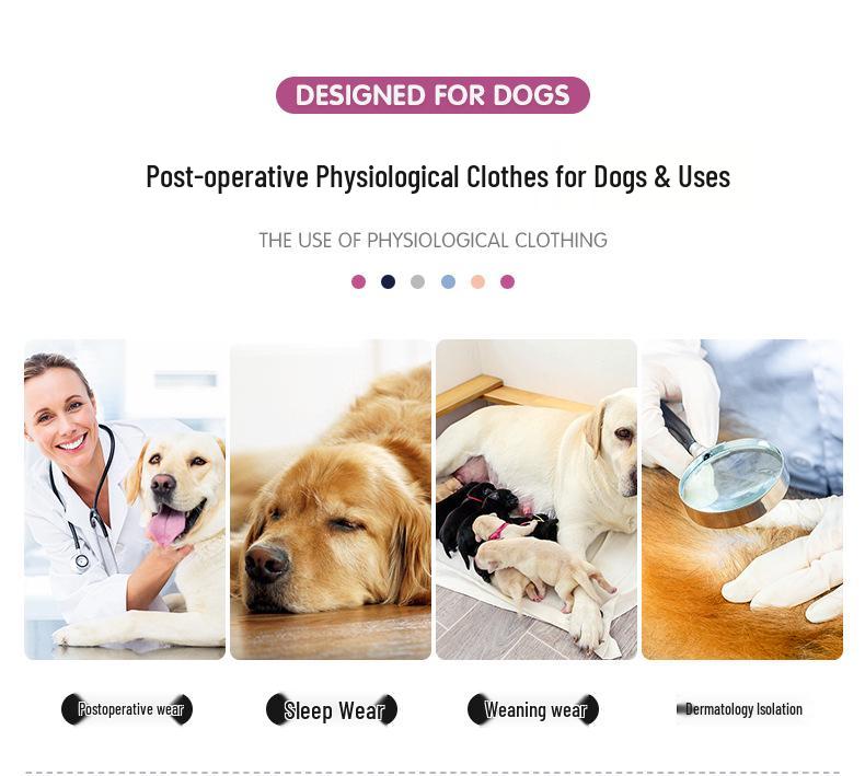 Cross-Border Pet Supplies: Velcro Dog Clothes for Sterilization and Recovery with Urine Pad Option