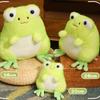 New Two-tone Cashmere Little Frog Plush Toy Smiling Frog Doll Children's Companion Doll 20cm 0.15kg
