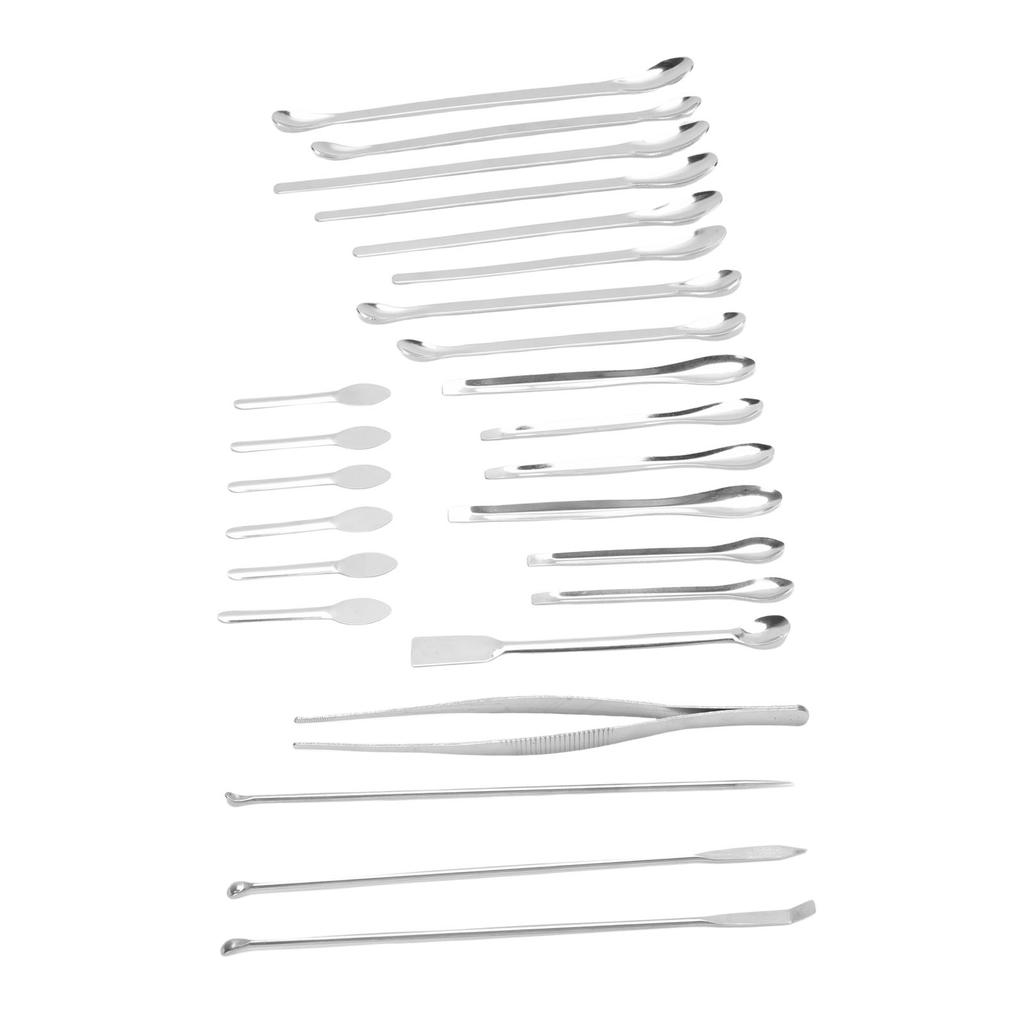 25Pcs Laboratory Spoon Spatula Tweezers Set 304 Stainless Steel Long Handle Multifunctional Laboratory Sampling Scoop