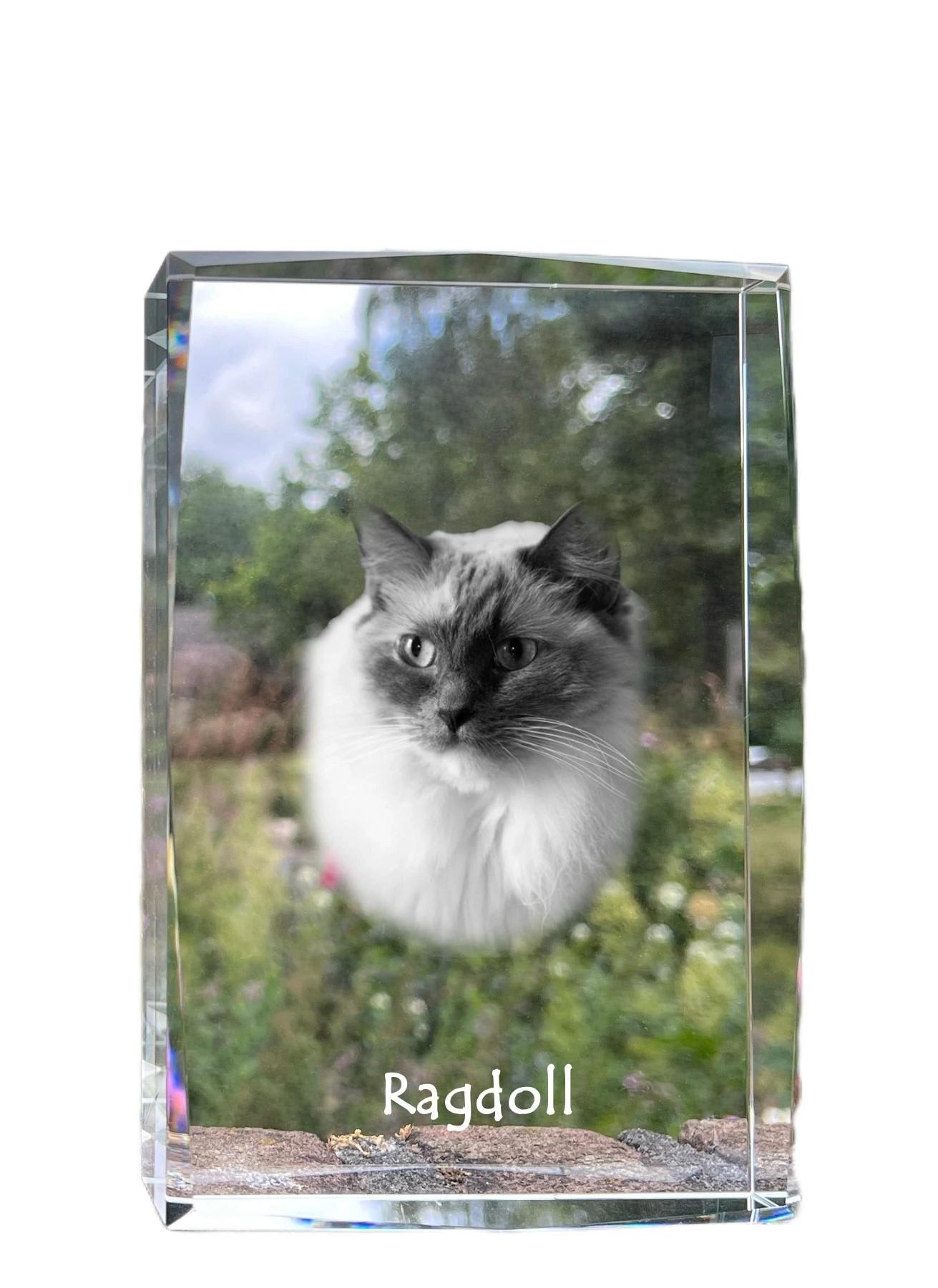 

Ragdoll - crystal with a picture of a cat, photo in glass, modern exhibition of Art-Dog brand photo прозорий