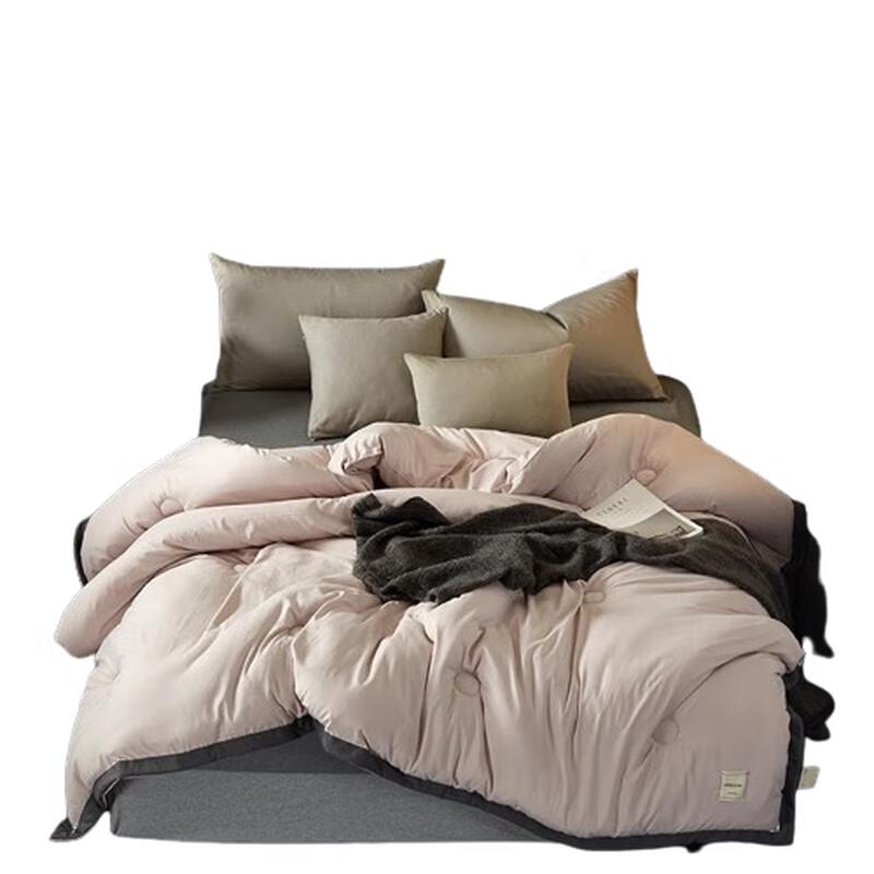 

Yiyiai Minimalist Warm Duvet Insert