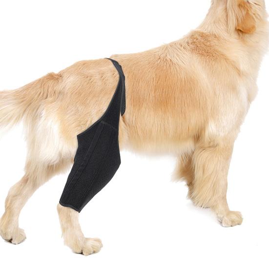Dog Knee Rear Leg Brace with Fastening Strap Wear Resistant Ultralight Adjustable