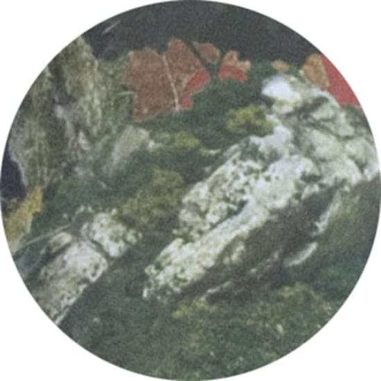 KATO Diorama Modeling Sheet 460 X 1820mm Diorama Supplies 24-502