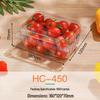 Clear Rectangular Disposable Food Containers with Lids