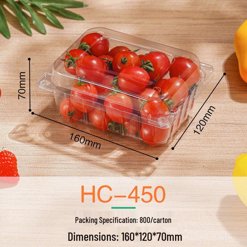 Clear Rectangular Disposable Food Containers with Lids