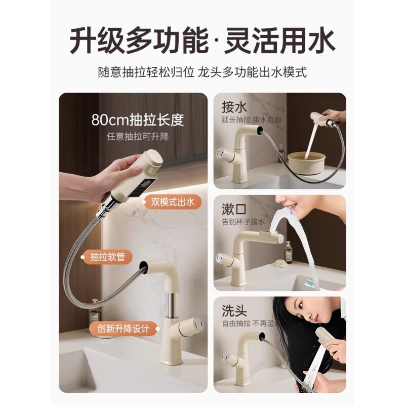 Lift-out Pull-out Basin Mixer Faucet
