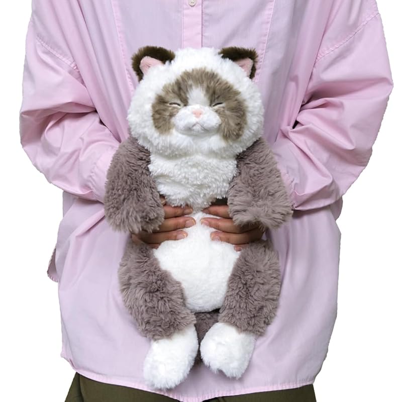 Sun Lemon Lap Cat Good Night Ragdoll GYBR 22×14×47cm Stuffed Toy Animal Cute Cat Cat Greige P-1263