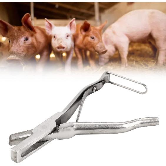 Ear Tag Plier Stainless Steel, Ear Notcher, Stainless Steel Pig Ear Tag Plier, Hear Tag Notcher with Safe Buckle for Cattle, Sheep, Goats, Pigs, and