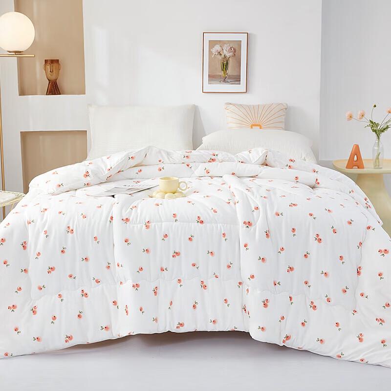 Donna Home Textiles 5A Antibacterial Baby Velvet Ginger Quilt