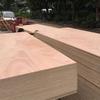 Qiaolv Multi-Layer Plywood Board