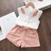 Girls Summer Ruffle Sleeveless Blouse And Shorts Set Kids Casual Two Piece Outfit Clothing