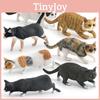 Haustier Katze Tier Nachbildung PVC Modell Für Kinder Geschenk Und Sammlung