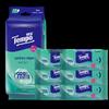Tempo Antibacterial Wet Wipes
