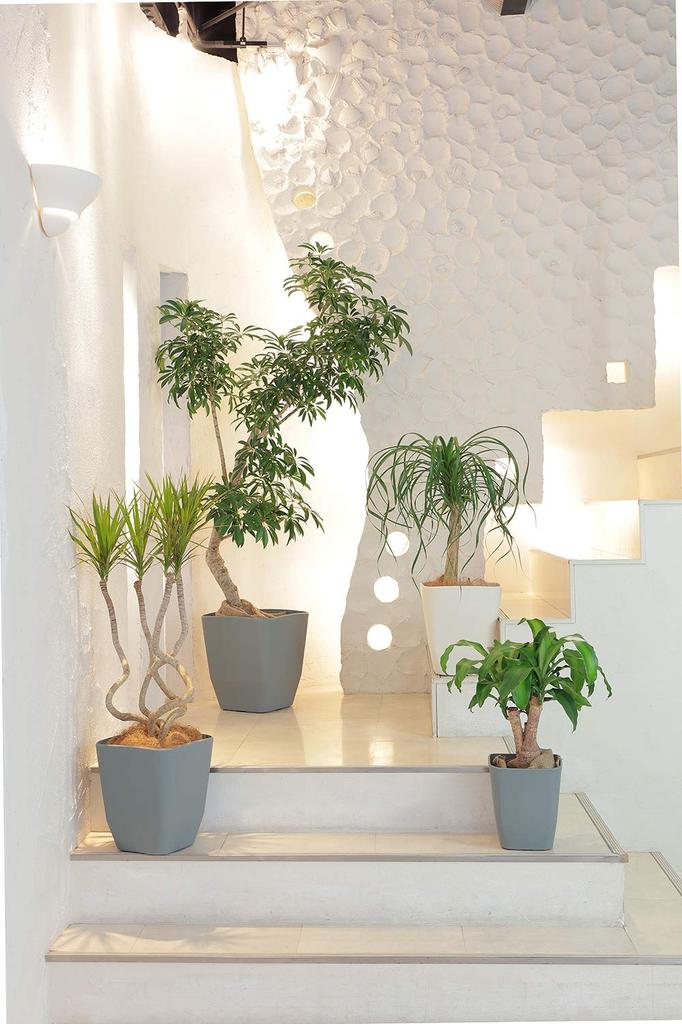 Appleware Plastic Pot Atelier Soil Inner Pot Polyester Made In Japan Pot, Pot, Cover, Pot, 37-inch, White, Capacity 23L, Depth 37cm, Width 37cm,