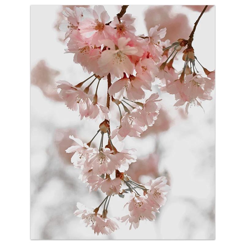 Pink Flower Petals Romantic Wall Decoration Painting Sea Beach Poster and Prints  Wall Art Canvas Living Room Frameless