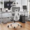 Ergonomic Computer Chair for Home and Office - Comfortable Reclining E-sports Chair for Long Sitting