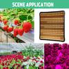 LED Wachstumslampe für Pflanzen 256 LED Grow Light Vollspektrum Phyto Lampe AC 85-265V Fitolampy Zimmerkräuter Licht für Gewächshaus Anbau 6000W
