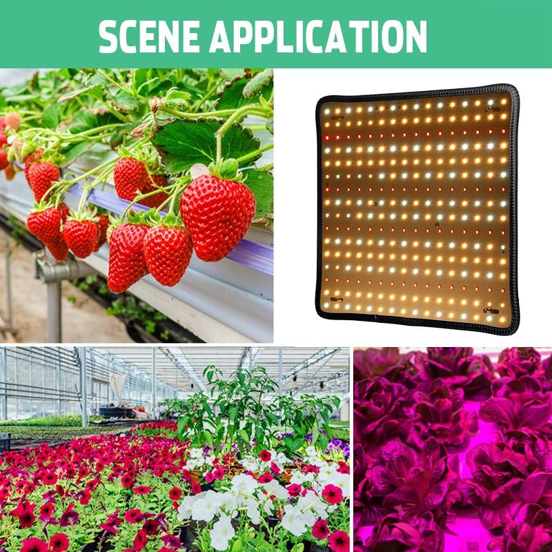 LED Wachstumslampe für Pflanzen 256 LED Grow Light Vollspektrum Phyto Lampe AC 85-265V Fitolampy Zimmerkräuter Licht für Gewächshaus Anbau 6000W