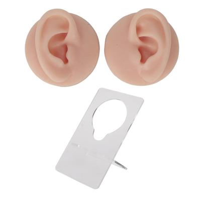 Modelo de oreja de silicona suave de alta simulación, estructura transparente, modelo de oreja humana para práctica de perforación ligera.