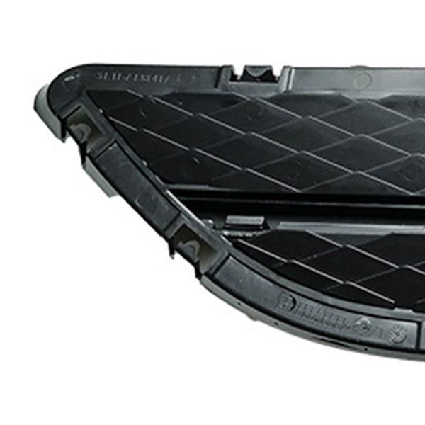 1 Paar Schwarzes ABS Auto Frontgrill Set für Bao - Linke & Rechte Montage