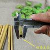 6 Stück Natur Bambus Strohhalme Set Wiederverwendbare Trinkhalme mit kostenloser Reinigungsbürste 8 oder 9 Zoll Auswahl Home Bar Trinkgeschirr Kostenloser Versand
