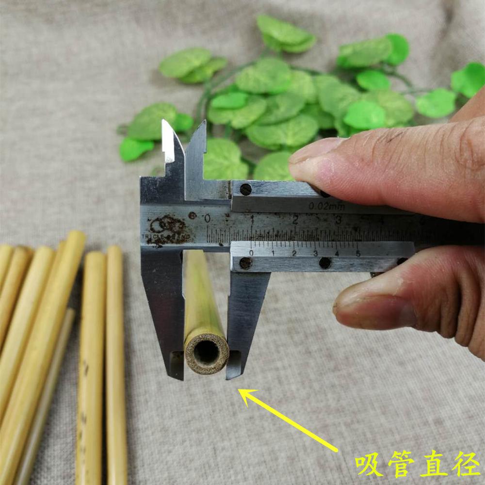 6 Stück Natur Bambus Strohhalme Set Wiederverwendbare Trinkhalme mit kostenloser Reinigungsbürste 8 oder 9 Zoll Auswahl Home Bar Trinkgeschirr Kostenloser Versand