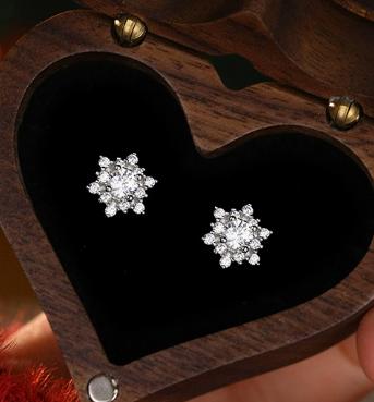 E173 -S925 Sterling Silver Snowflake Series Earrings for Women Fashionable Light Luxury Design Christmas Jewelry Gift