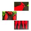 Uccello Rosso Realistico, Artigianato in Schiuma con Piume Simulate, Uccello Artificiale Realistico Decorazione per Albero di Natale, Ornamento per Casa e Giardino