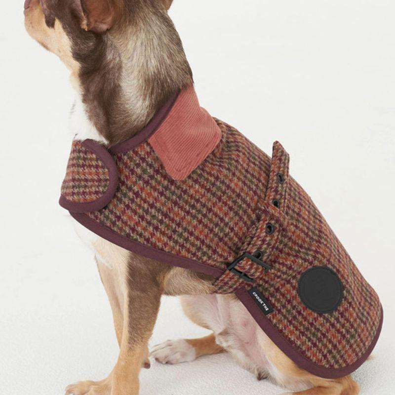 CROOKTHECHIHUAHUA Veste classique à boucle 100% Laine - rouge brique
