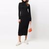 Polo Ralph Lauren Solid Knit Turtleneck Long Sleeve Dress Women Dresses Black 211763521-001