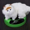 Catch The Mouse Moving Toy Interactive Plush Scratching Mat