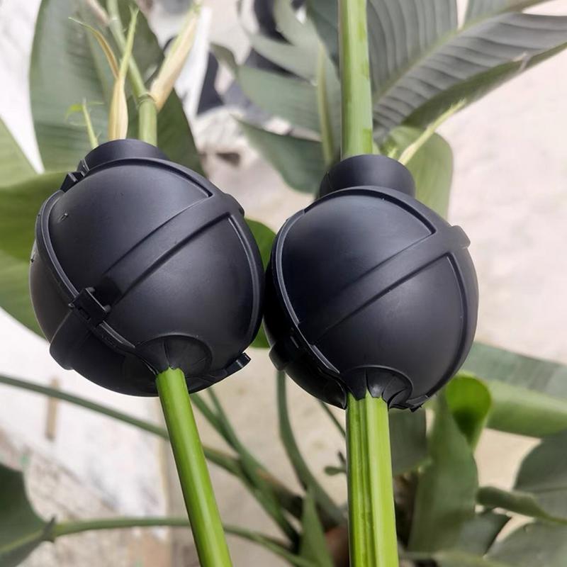 Anzuchtbox für Pflanzenwurzeln, Hochdruck-Vermehrungsball, Garten-Veredelungsbox, wiederverwendbares Bewurzelungsgerät