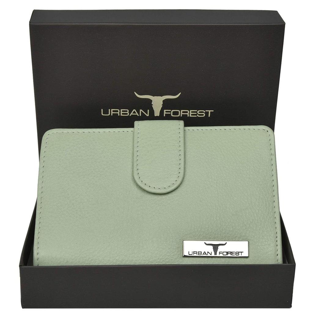 Arya Mint Green Leather Wallet for Women