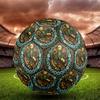 Insect Life Cycle Round Football Size 5 Adult Ball Suitable for Training Matches and Outdoor Team.