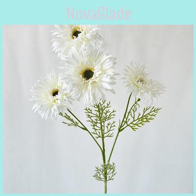 African Gerbera Jamesonii Bolus Wedding Decor For Home And Event Use