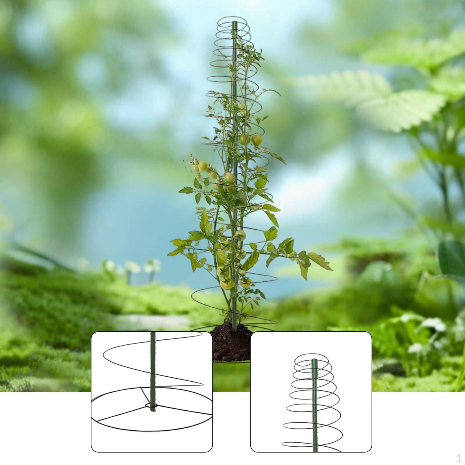

Trellis for Climbing Plants Growing Cage Reusable Easy to Install Bean Spiral Frame Yard