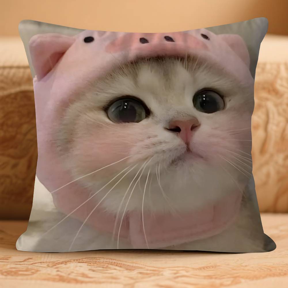 

Funny Cat Pillow Cover Design Cushion Cover Decor Holiday Decorati 16x16Inch
